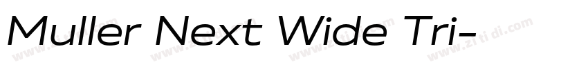 Muller Next Wide Tri字体转换